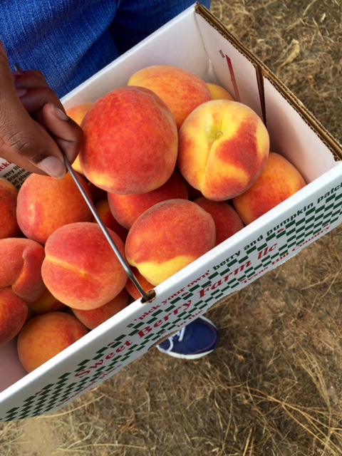 Holding a big box full of peaches in the right hand