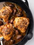 Cooked chicken in mushroom sauce in cast iron pan