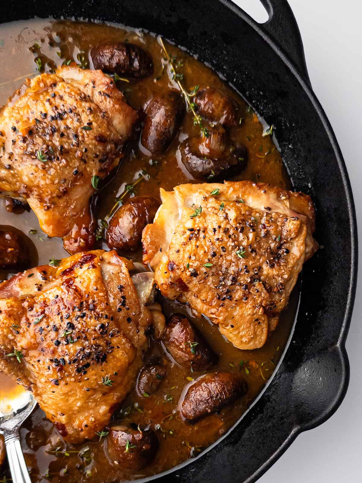 Cooked chicken in mushroom sauce in cast iron pan